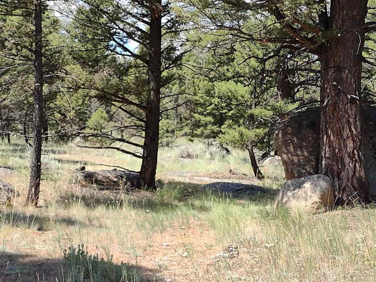 Trail Less Traveled photo 3