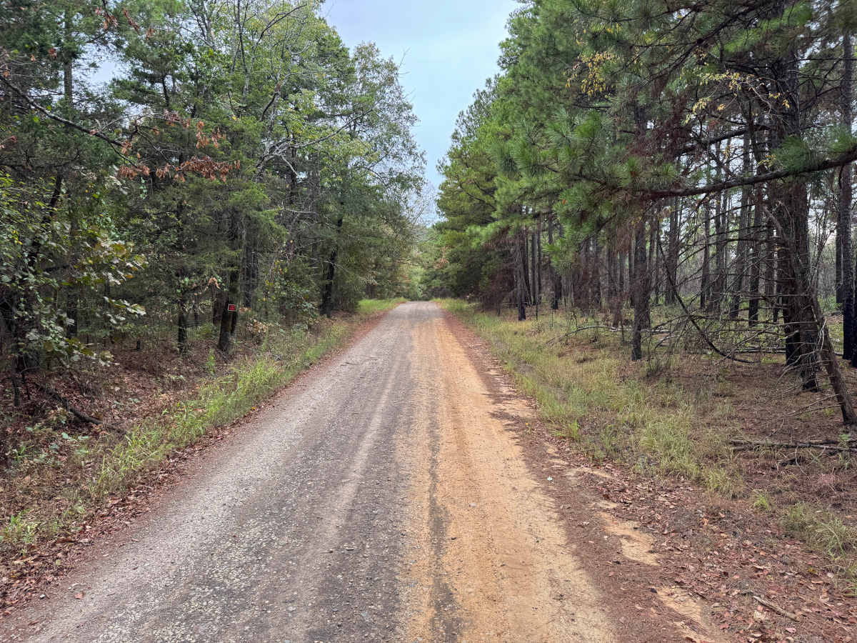 Sorghum Hollow Road photo 3