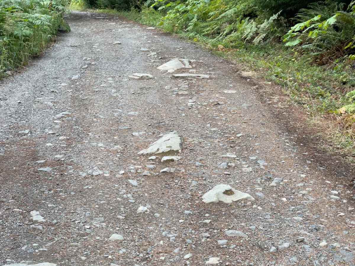 Church Mountain Road photo 3