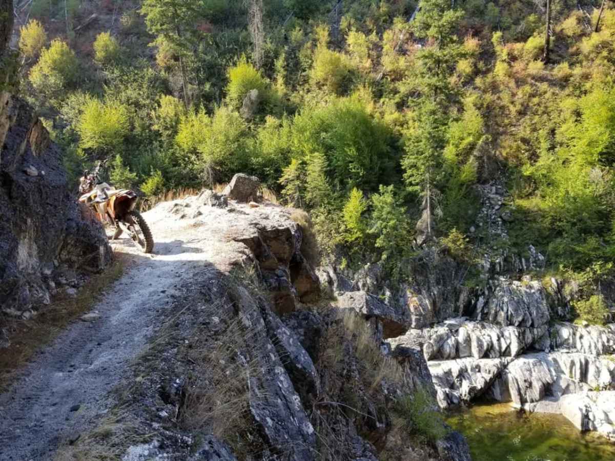 South Fork of the Salmon River Trail photo 5
