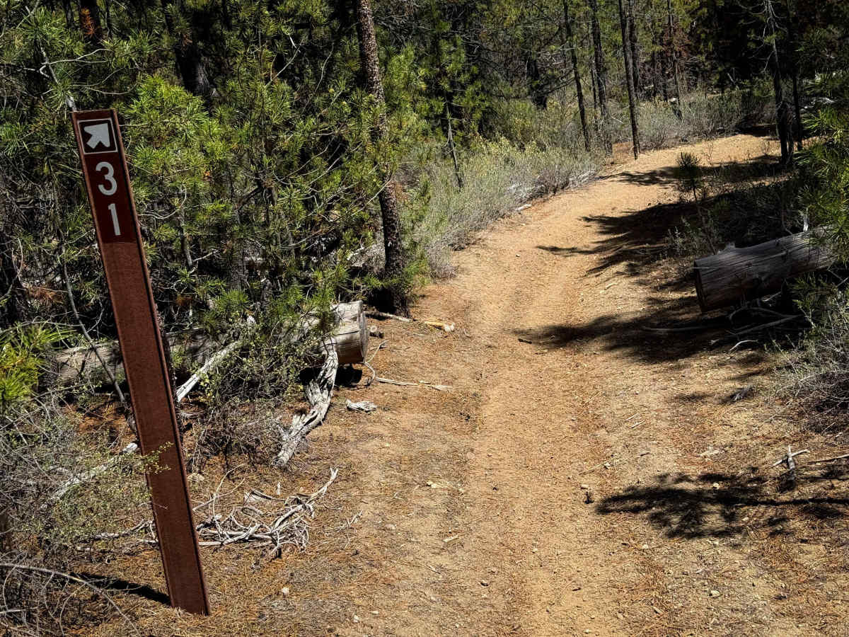  Trail 31  photo 5