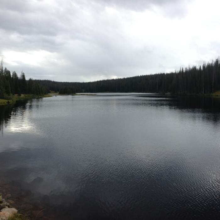 Near Fish Creek Trail