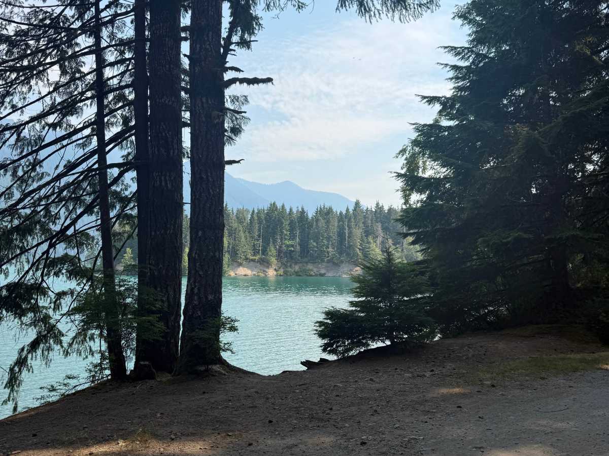 Lower Sandy Campground photo 2