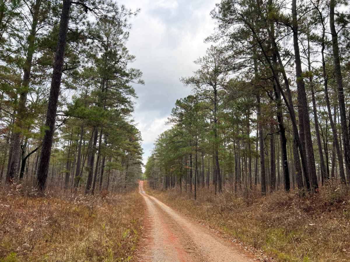 Oconee Starr trail photo