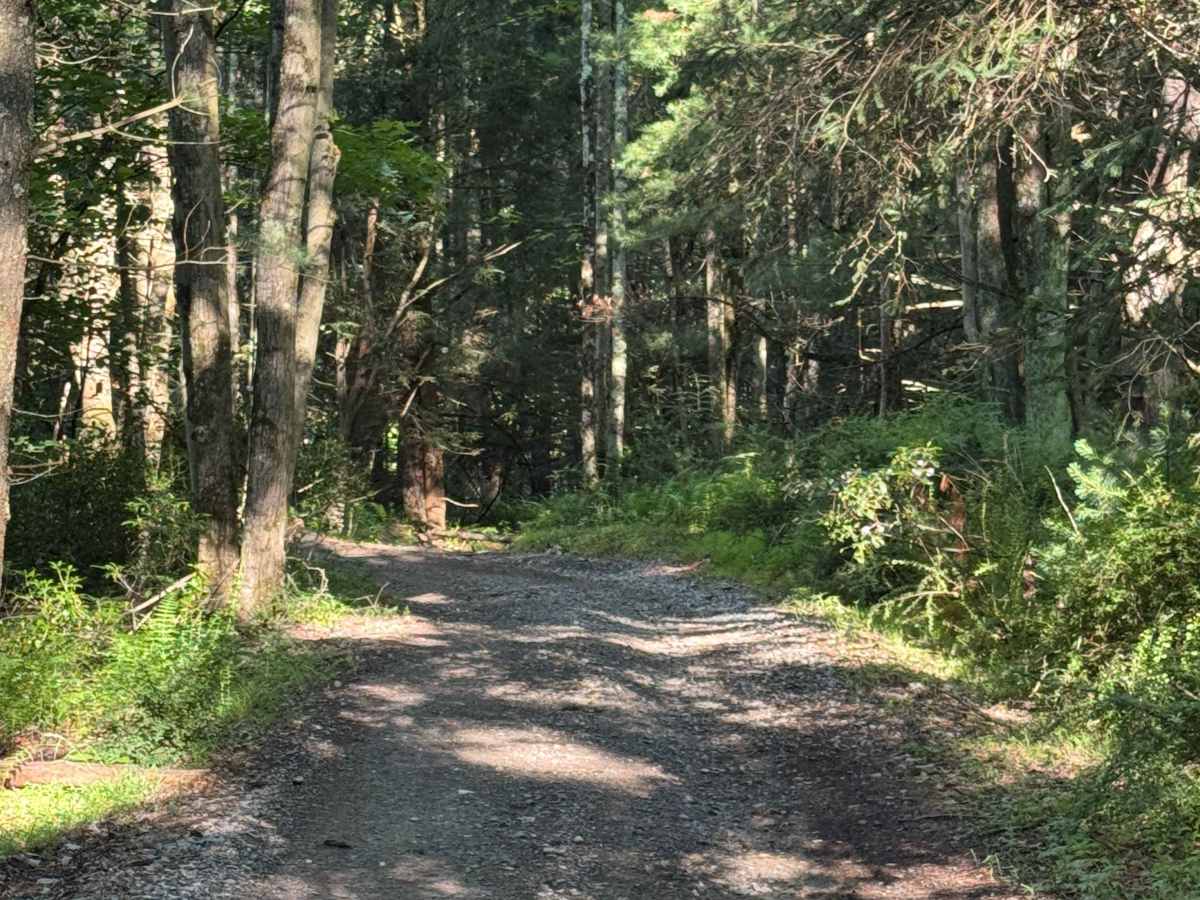 North Access Trail photo 4