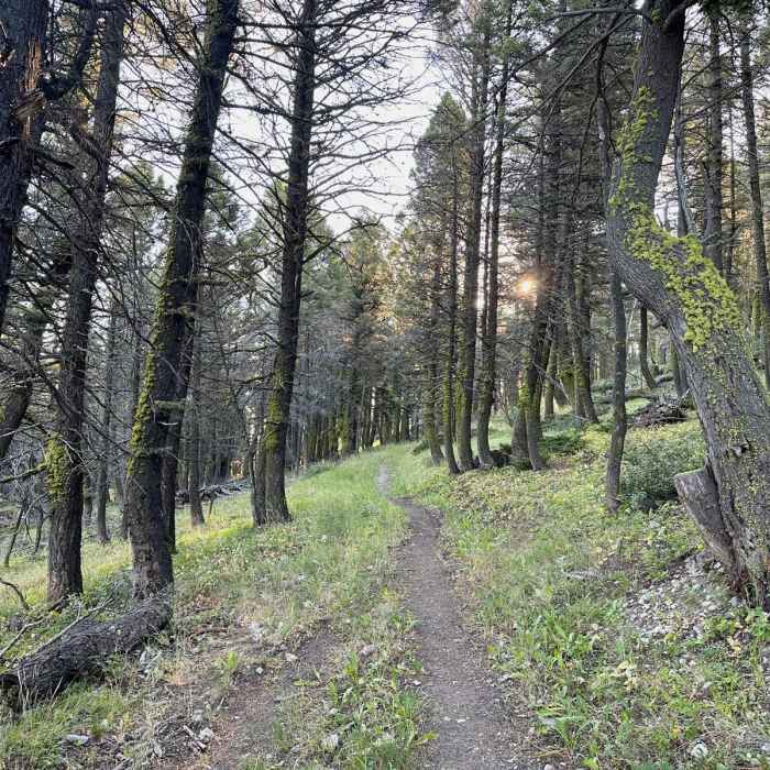 Near Continental Divide Trail: Montana-Idaho Section 20