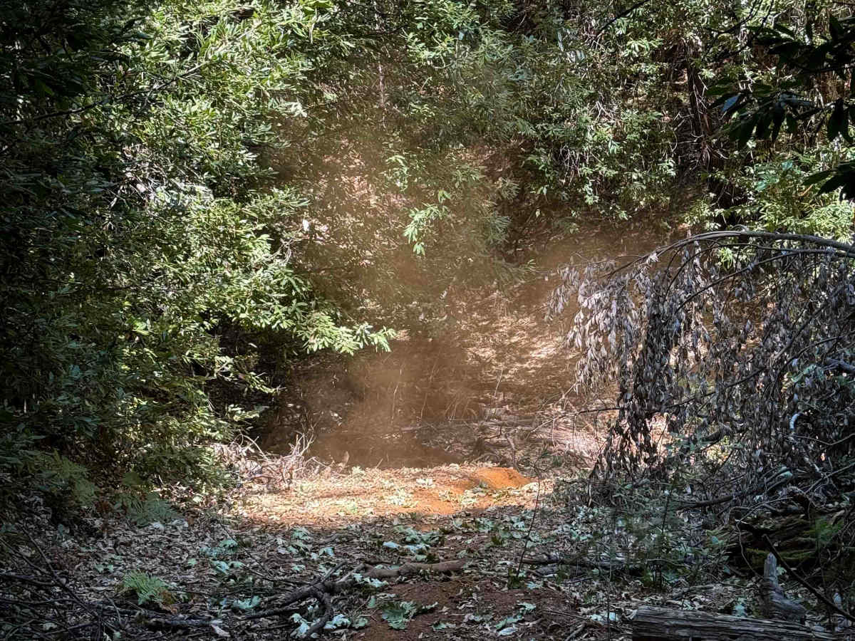 Trail 6-2 (11E52)  photo 4