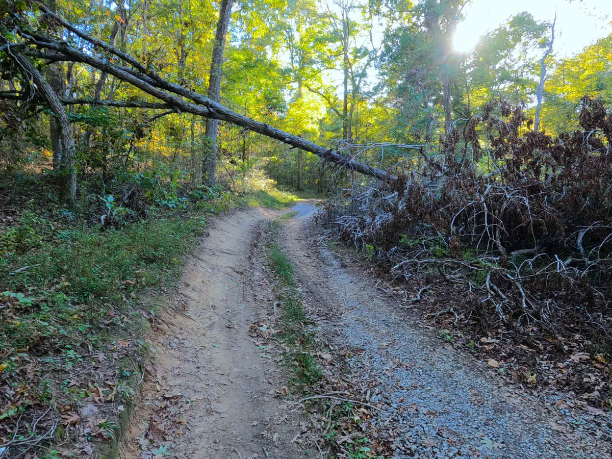 Sugar Creek - FS 318 photo 6