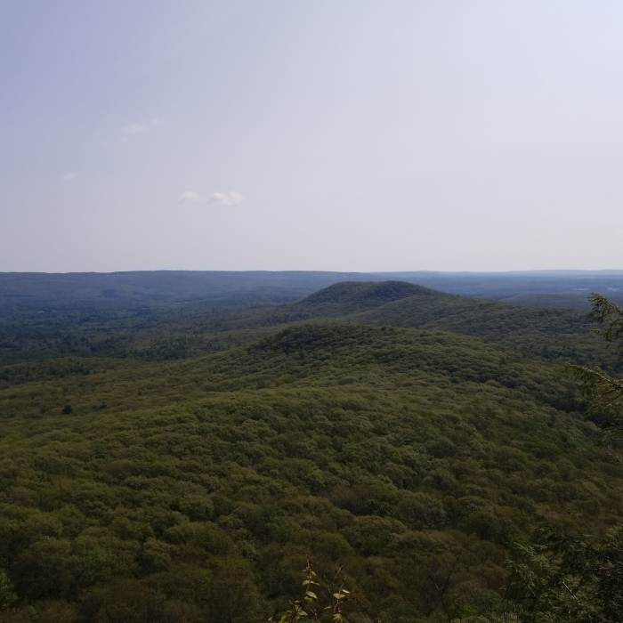 Near MA New England Trail/Metacomet-Monadnock Trail: Section 8