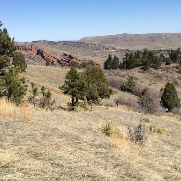 Near Mount Falcon East Loop