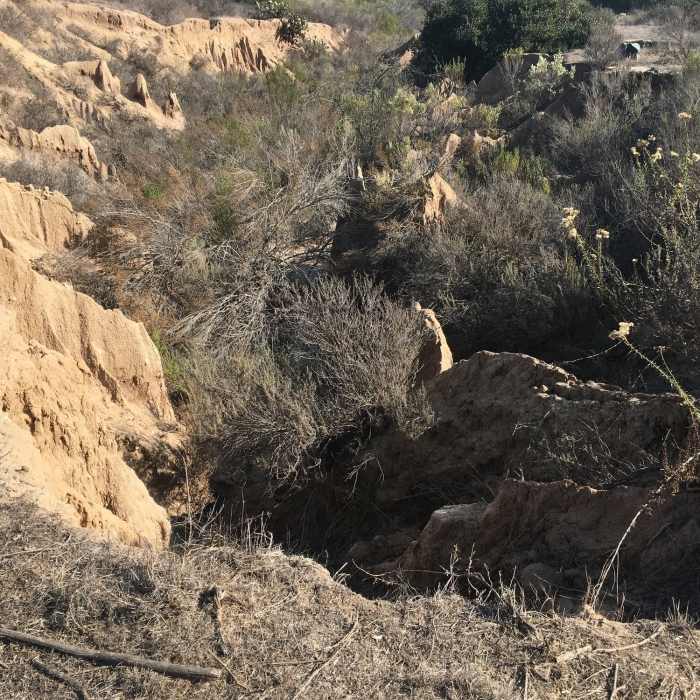 Just beautiful! Near Camarillo Canyon Trail