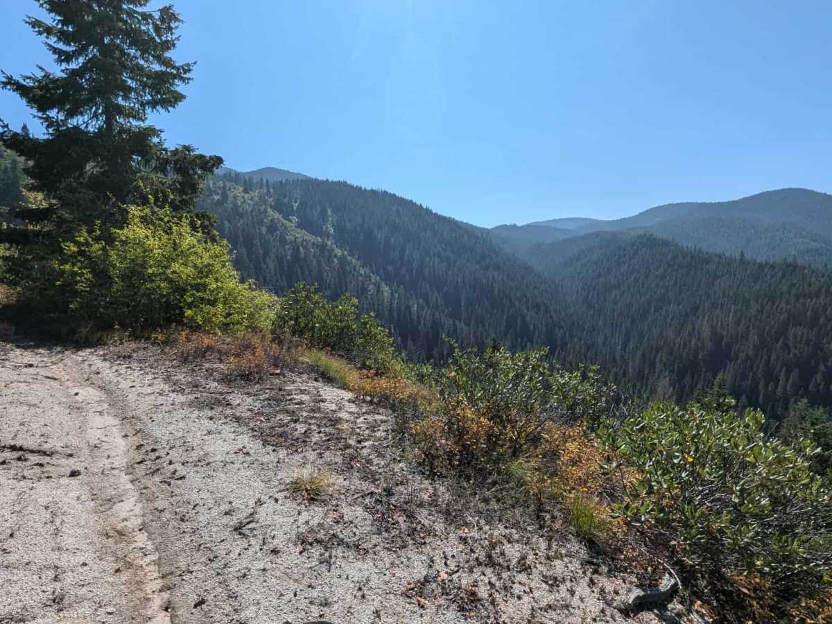 Fish Butte Saddle trail photo