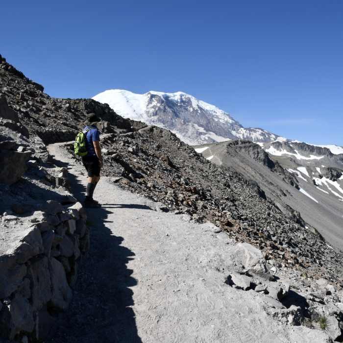 Near Burroughs Mountain Trail