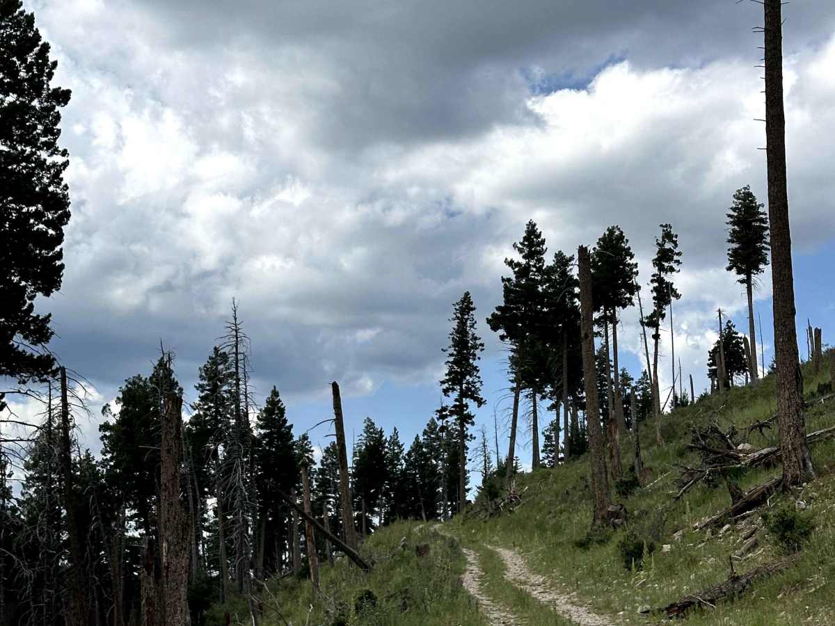 Hoosier Can trail photo