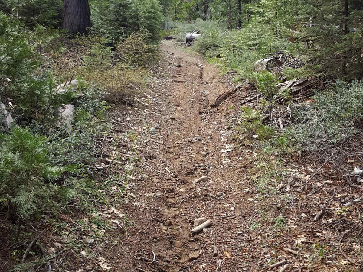 Browns Trail - FS 23E285 photo 4