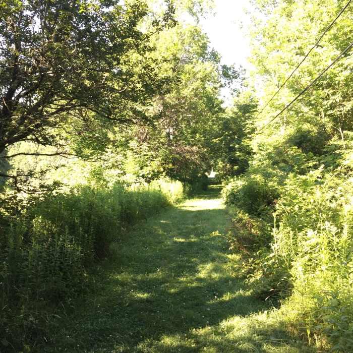 Old rail trail section Near Andes Rail Trail