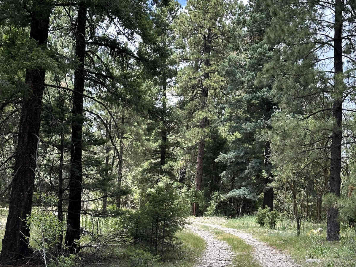 Karr Canyon photo 2