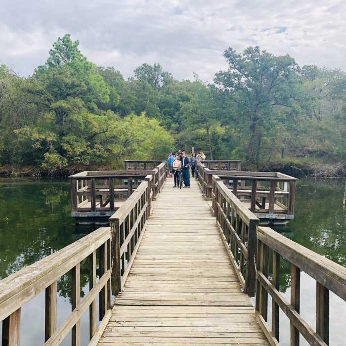 Floating Bridge on the North South Trail Near North South Trailway