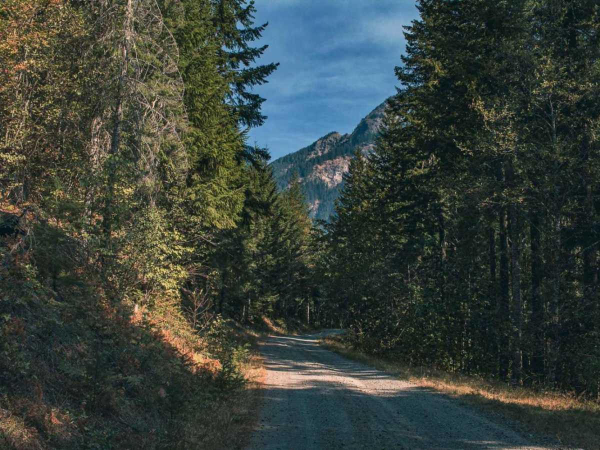 Butter Creek trail photo