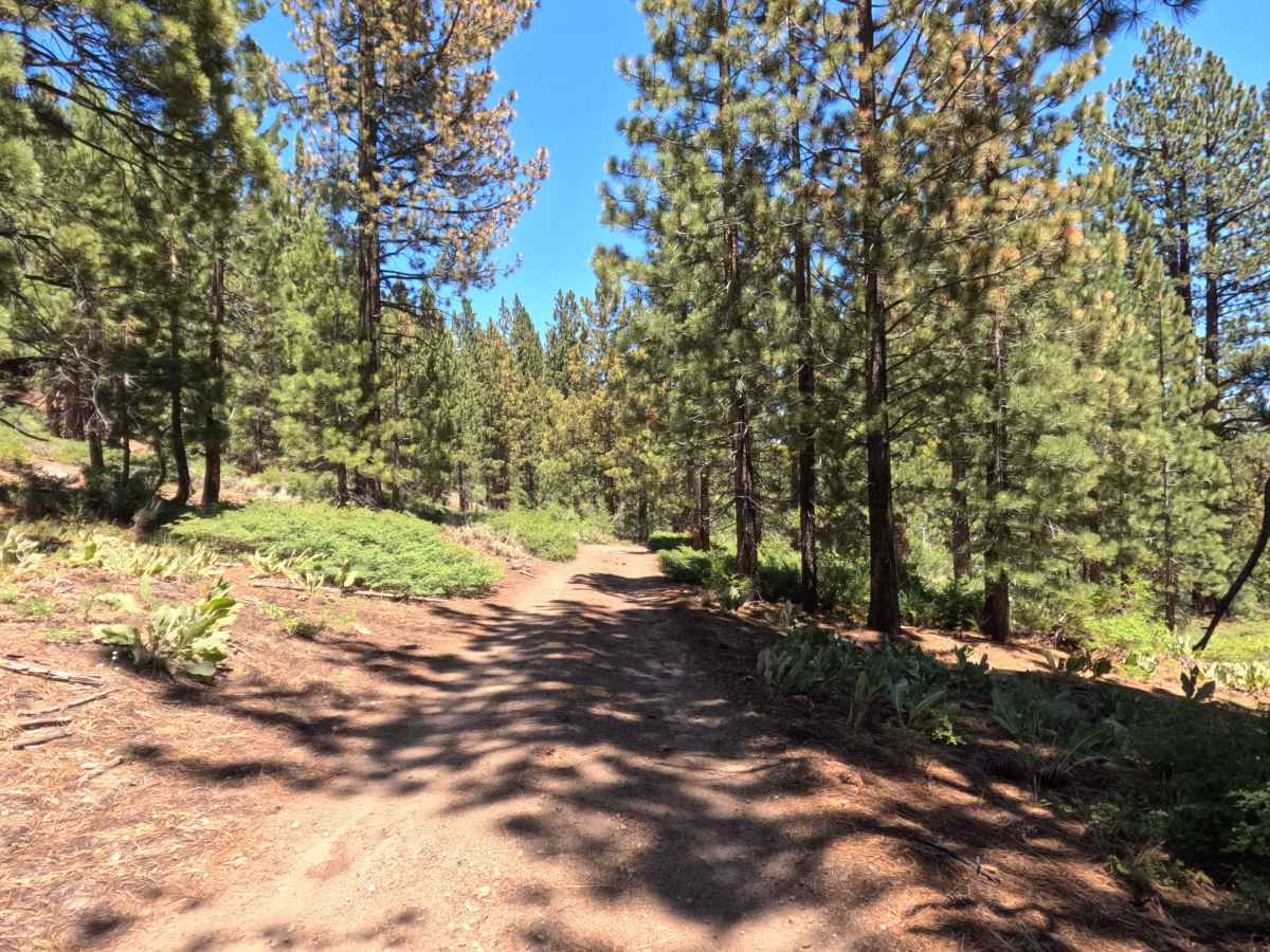 Horseshoe Road - FS 31079B photo 3