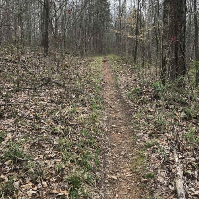 Near Shoals Creek Preserve Loop