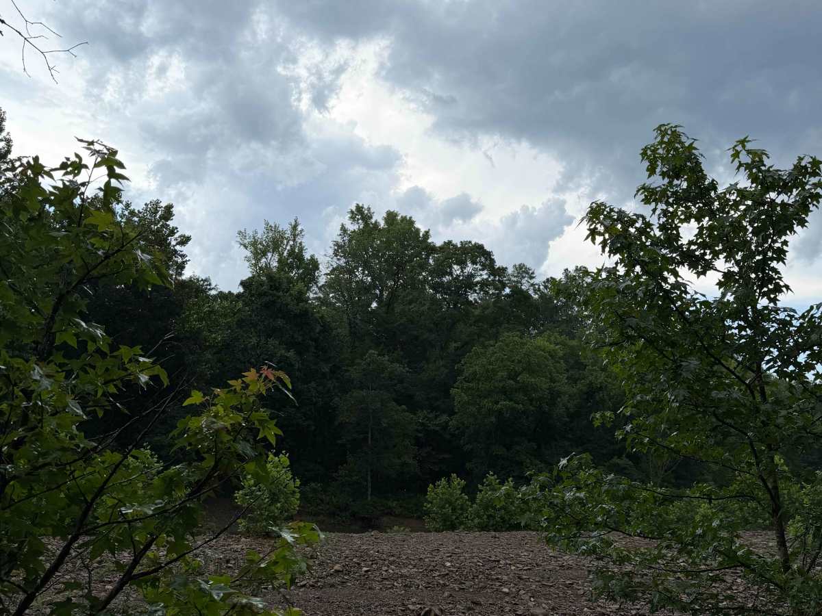 Bayou Run photo 6