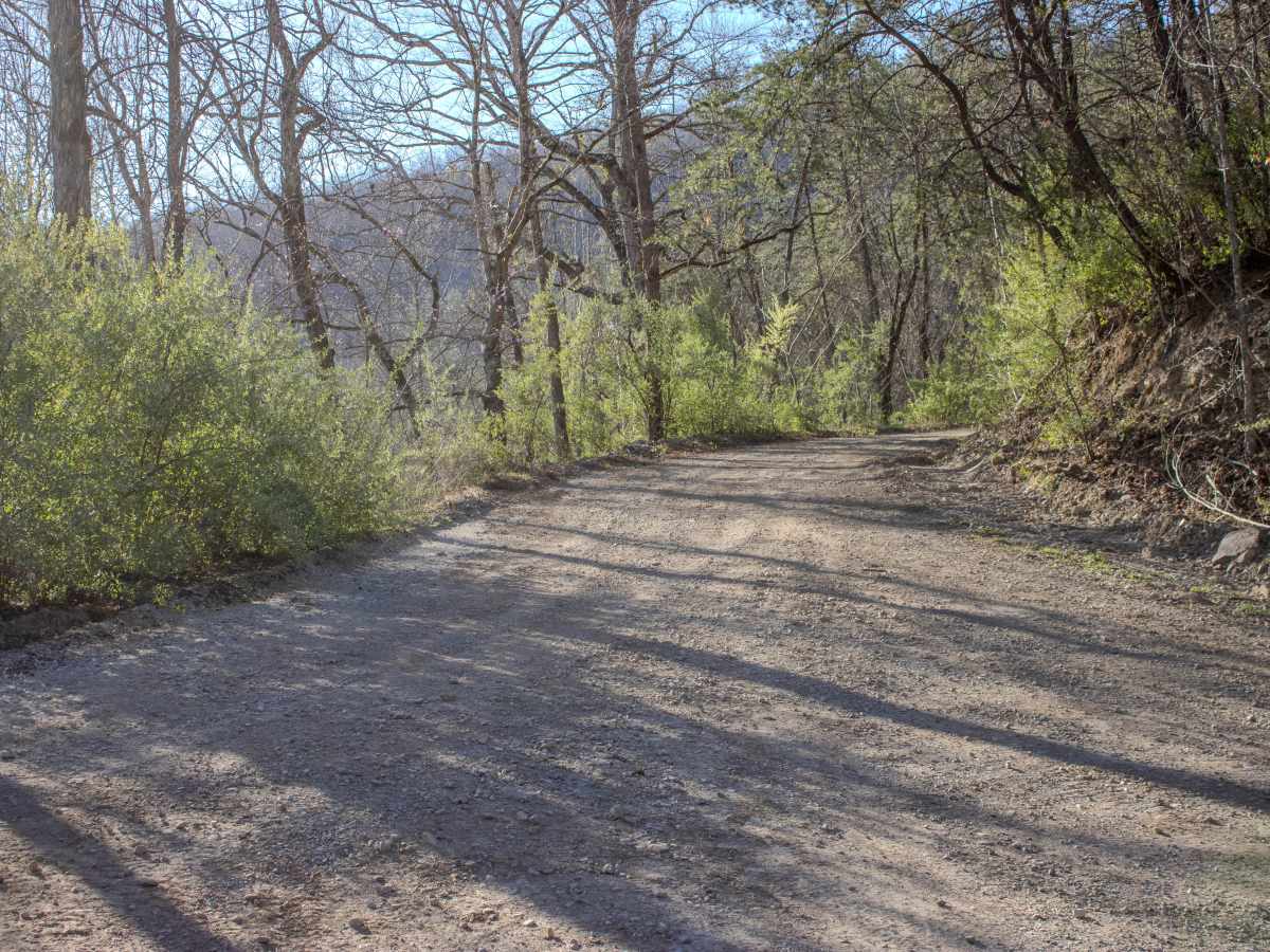Montgomery Road photo 3