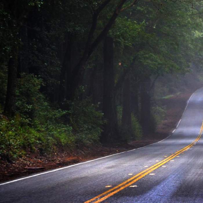 Near Purisima Creek Trail