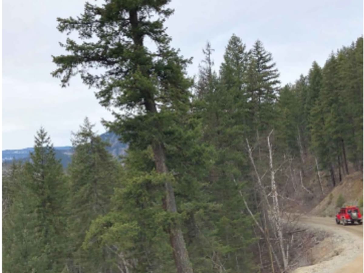 Dunn Lake Road photo 5