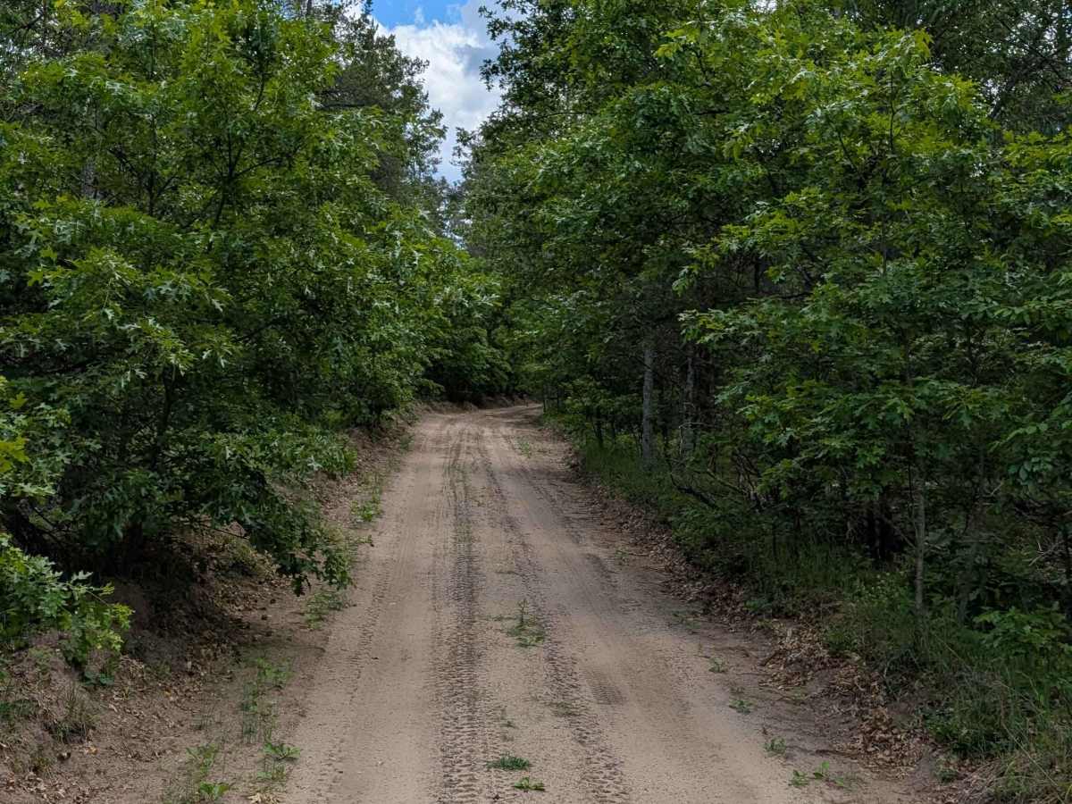 Armstrong Trail - FS 4568 photo 4