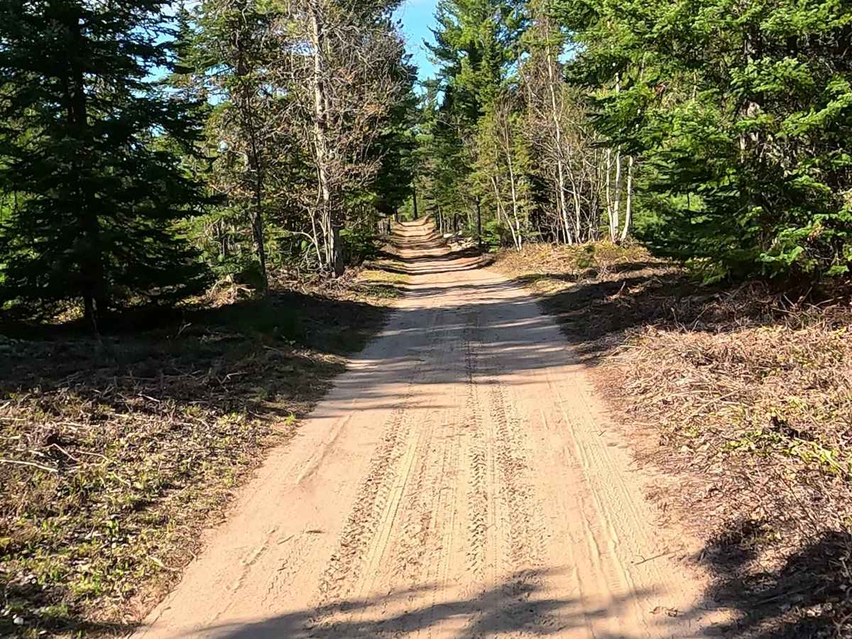 North McBryd Road trail photo