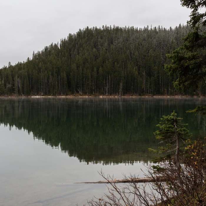 Near Hardscrabble Peak Near Hardscrabble Peak