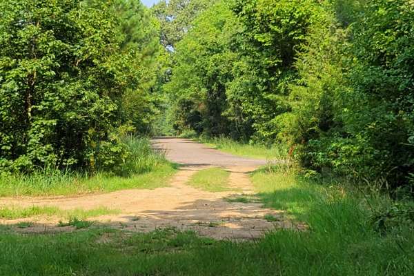 Low Water Bridge on Lake Wright Patman
