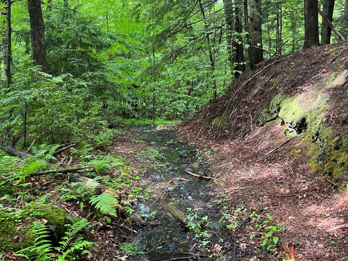 Porter Road photo 2