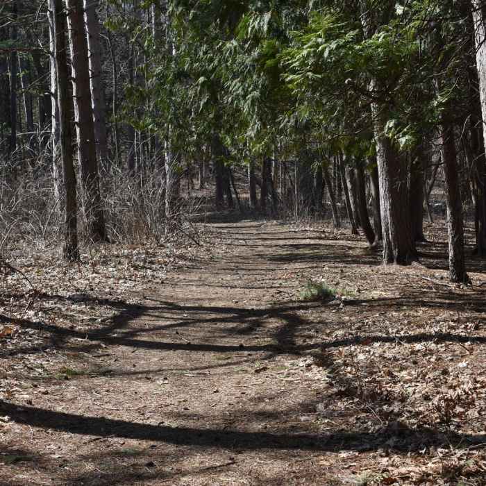 Near Arcola High Bridge Viewpoint Near Arcola High Bridge Viewpoint