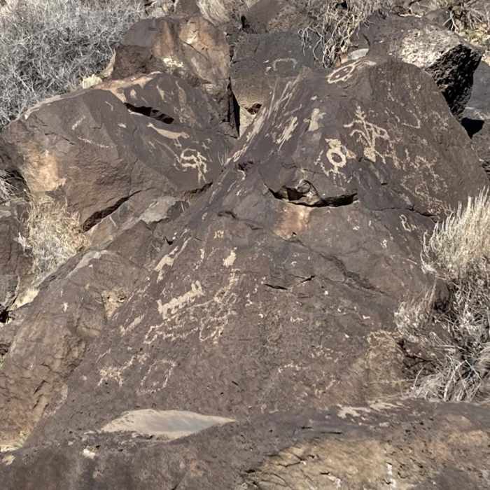 Near Piedras Marcadas Canyon Trail