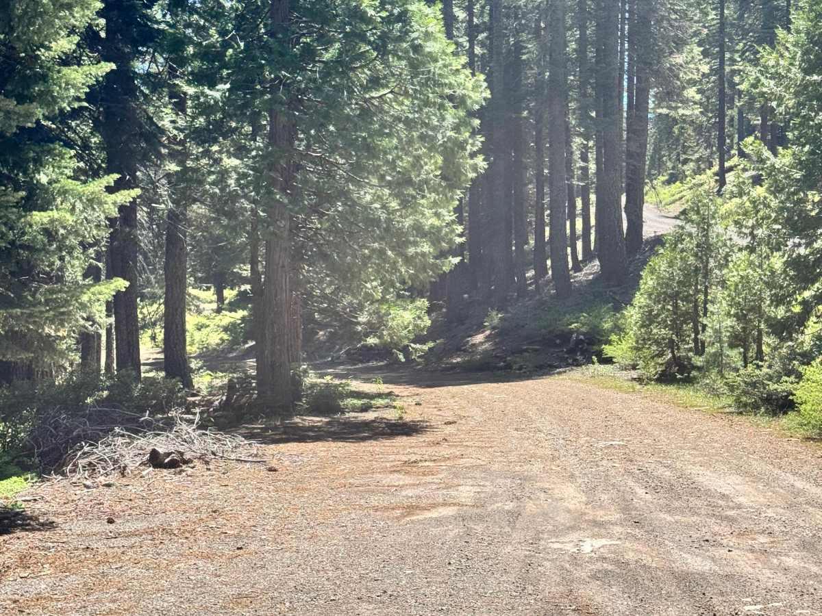 Colby Creek - FS 26N59 trail photo