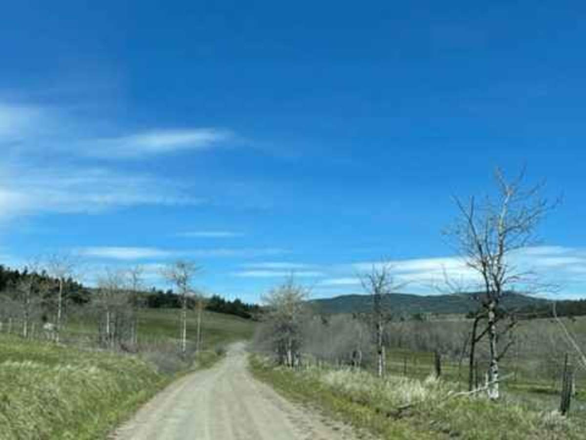 Pavillion Pass photo 2