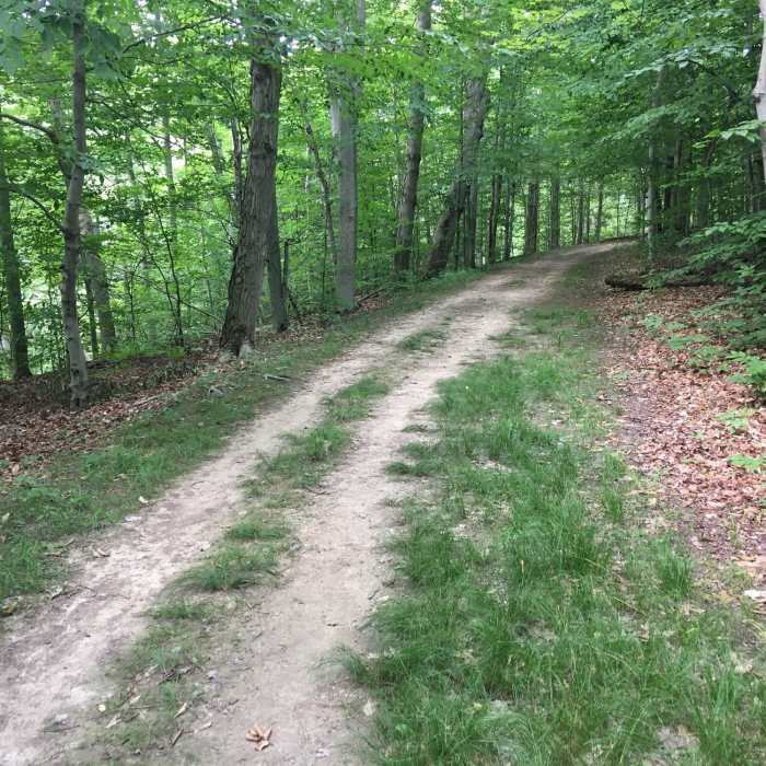 Near Old Carriage Trail