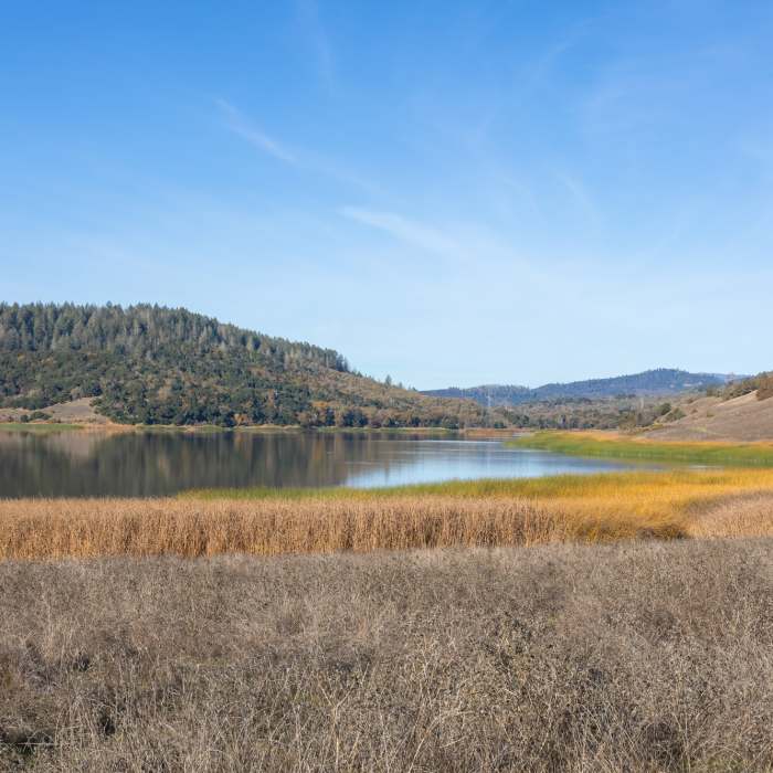 Near Shoreline Trail