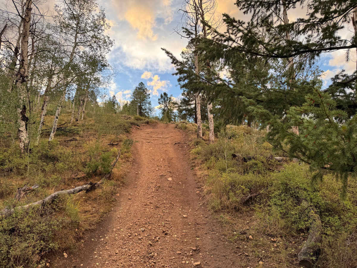Flick Ridge Road photo 3