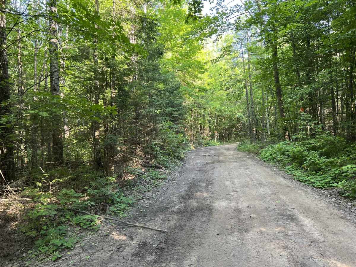 Carney Lake Road photo 4