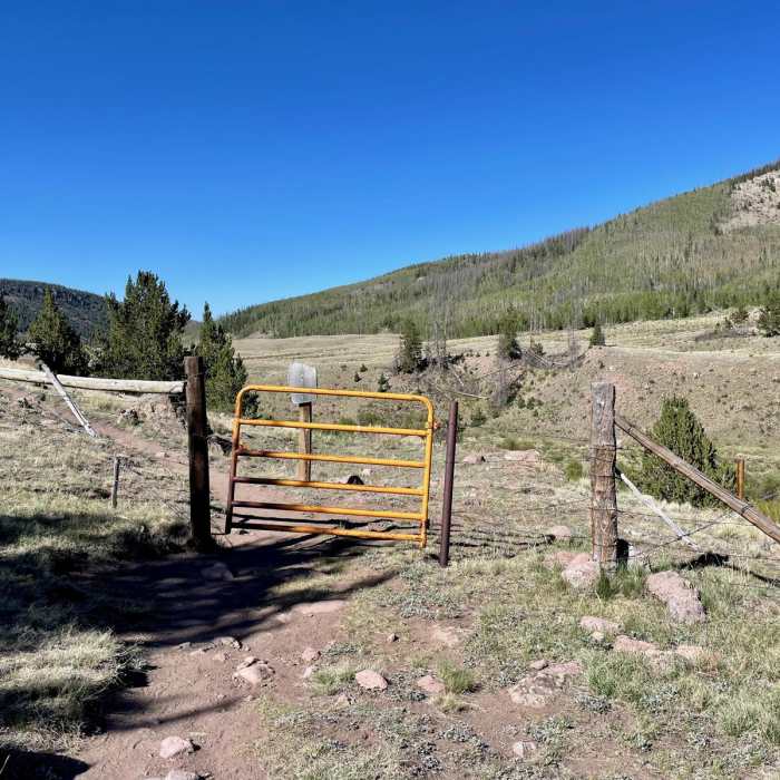 Near Colorado Trail Segment 19