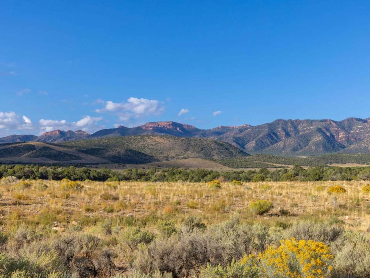 Willow Creek Canyon Road photo 3