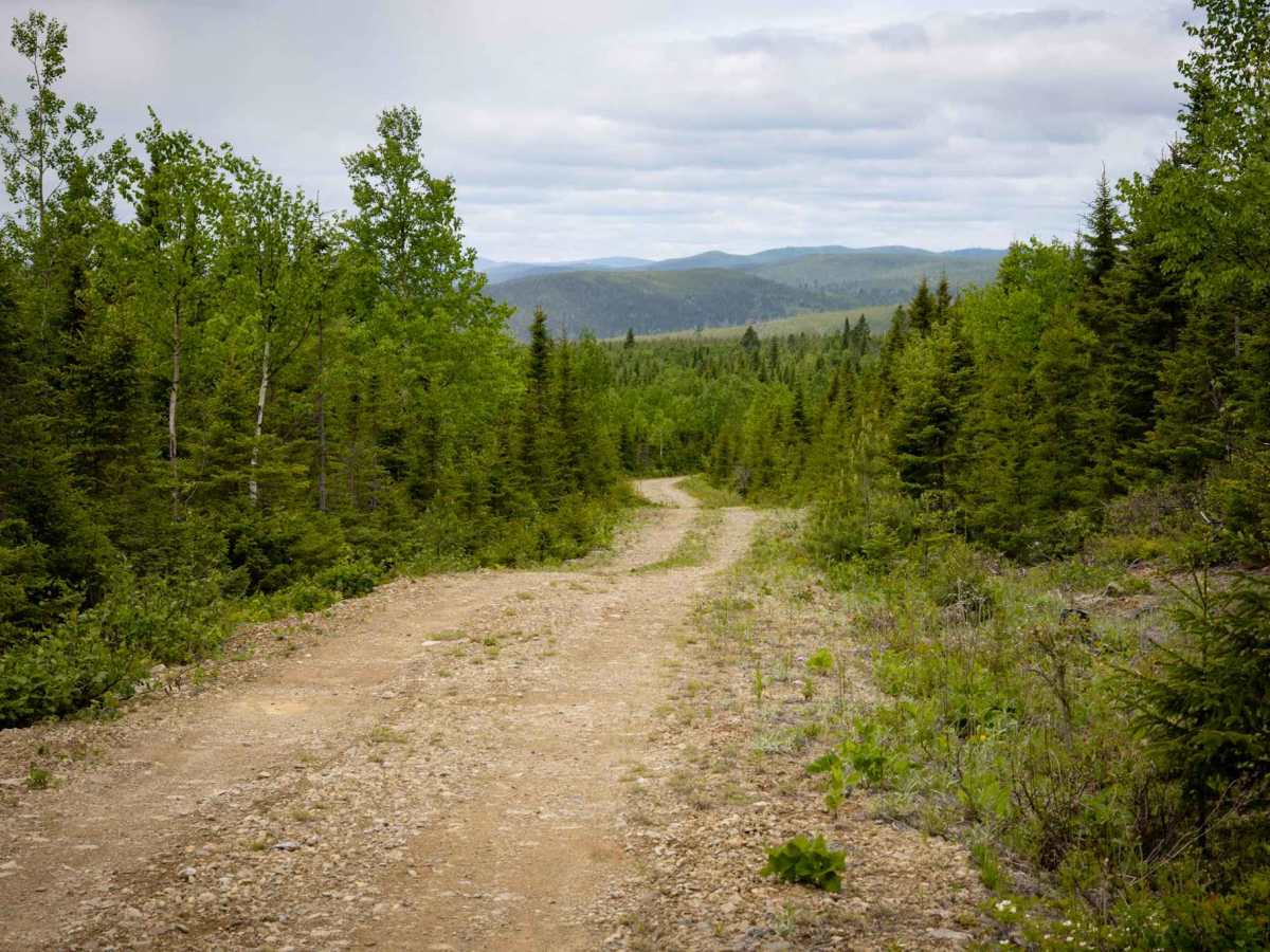 Mount Fronsac Trail photo 4