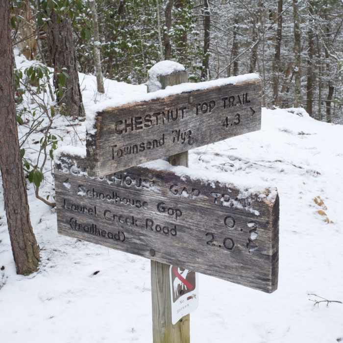 The end of the trail at the Schoolhouse Gap Trail. Near Scott Mountain Trail