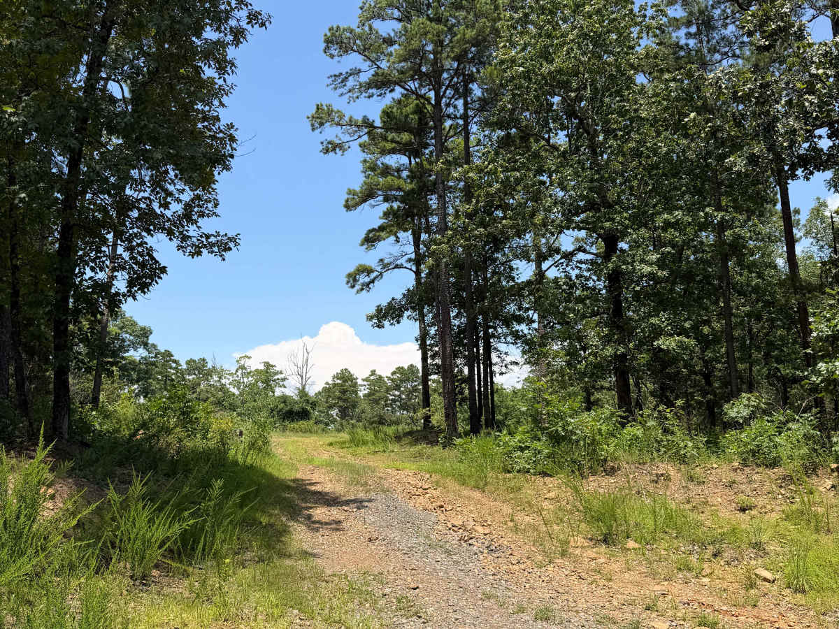 Field Day trail photo