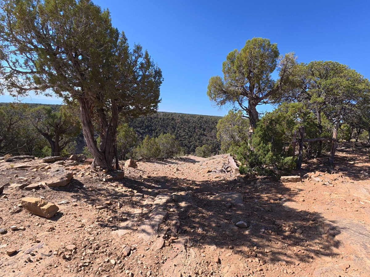 BLM 777 photo 6