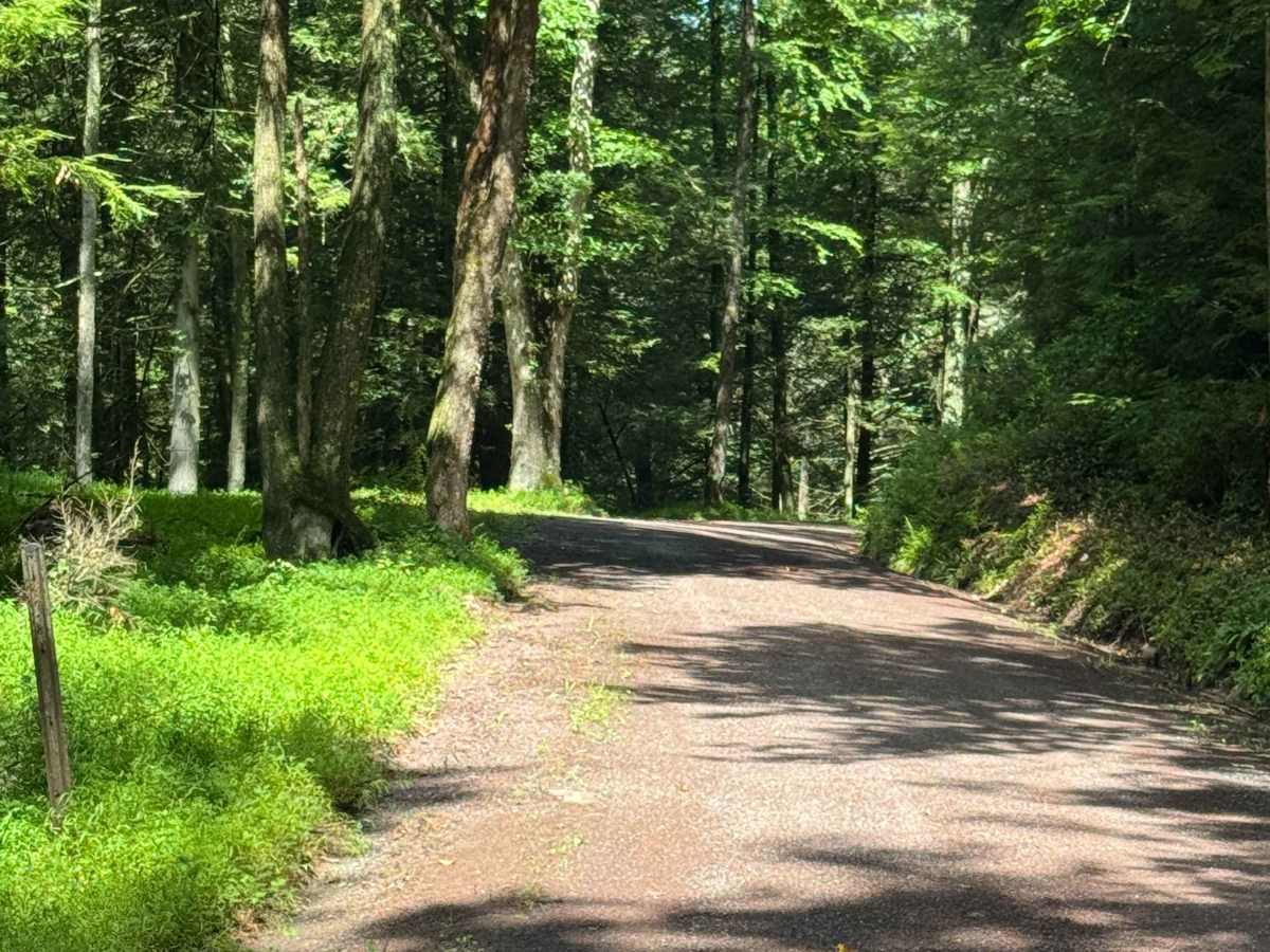 Roaring Run Road photo 6