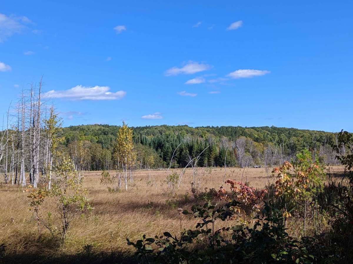 Marl Creek Road 765/760 photo 2